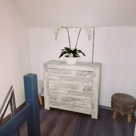 Pansiyon Single For *