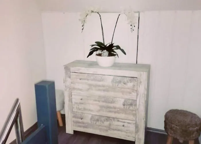 Homestay szállás Single For *